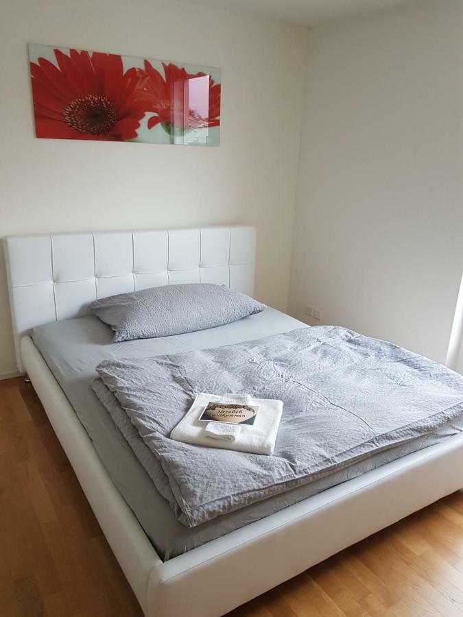 Zimmer In Penthouse-Wohnung Windisch 외부 사진