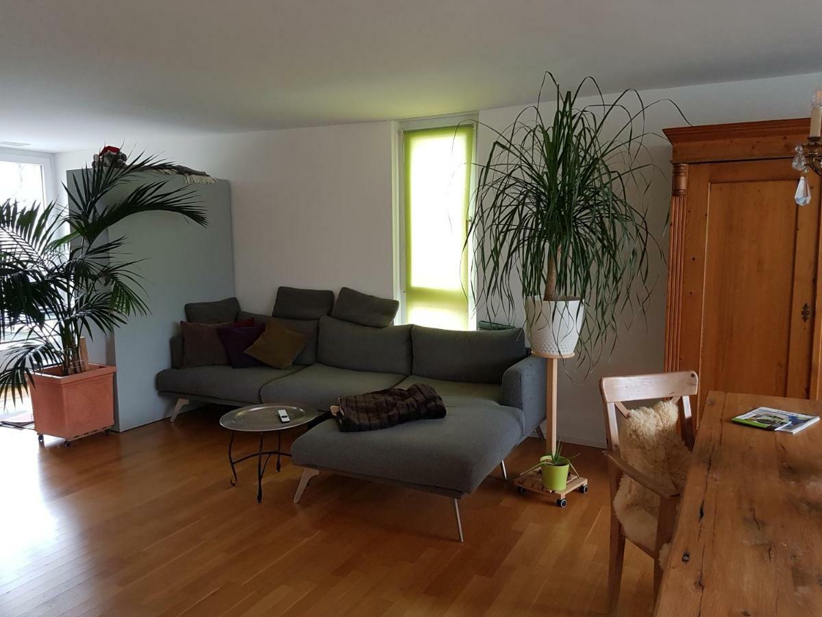 Zimmer In Penthouse-Wohnung Windisch 외부 사진